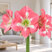 Amaryllis 'Cape Horn' - zornica 30/32