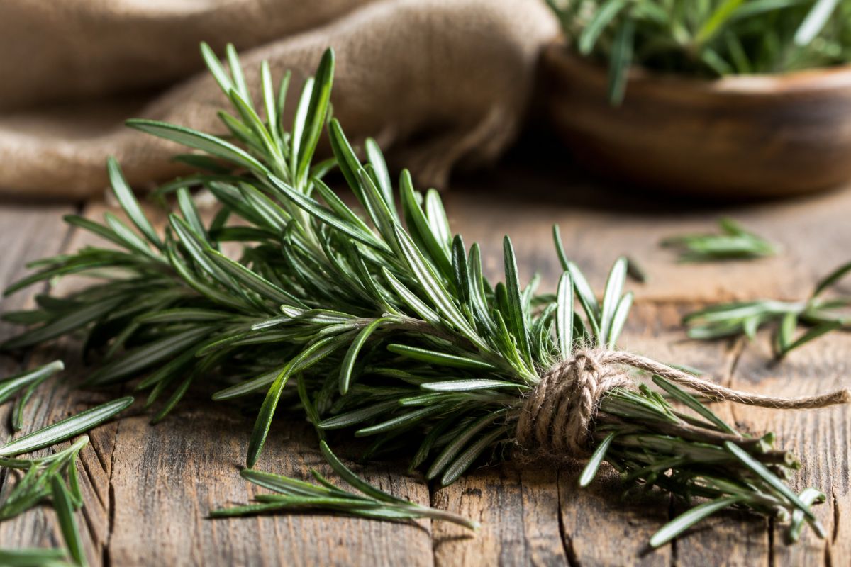 cerstvy-rozmarin-vetvicky-pouzitie.webp
