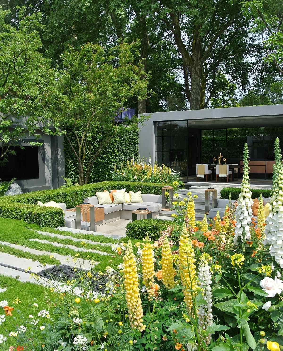 Lupiny v modernom trvalkovom záhone na Chelsea Flower Show v Londýne